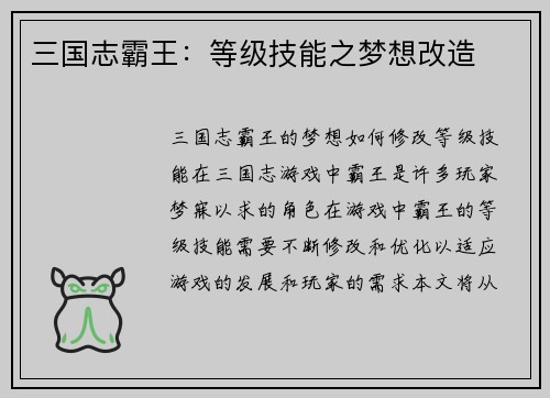 三国志霸王：等级技能之梦想改造
