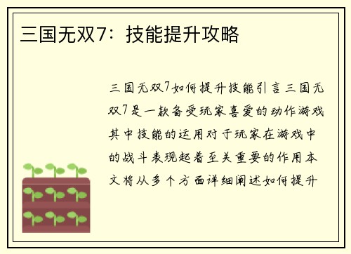 三国无双7：技能提升攻略